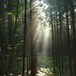 شقة Boellsteiner Hoehe