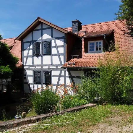 Boellsteiner Hoehe