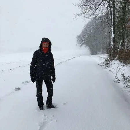 Boellsteiner Hoehe * Brombachtal