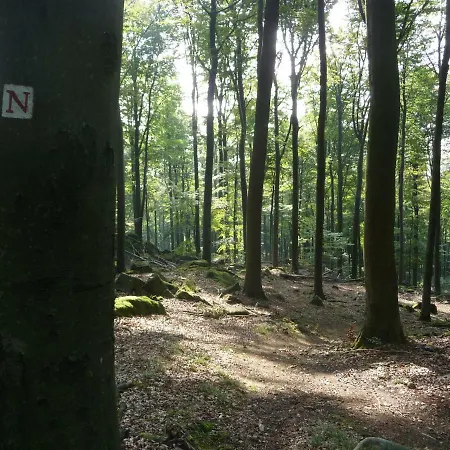 Boellsteiner Hoehe Apartman