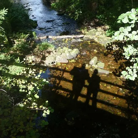 Boellsteiner Hoehe Apartman *