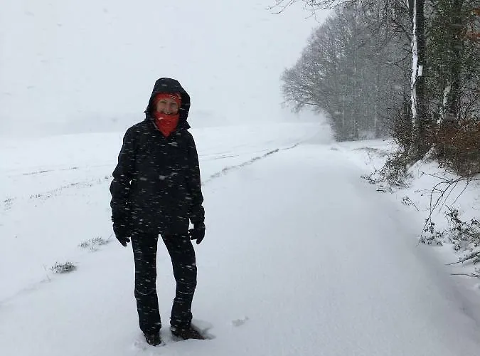 Boellsteiner Hoehe * Brombachtal