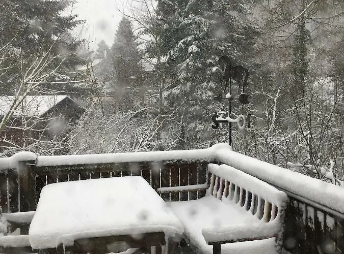 Daire Boellsteiner Hoehe Brombachtal