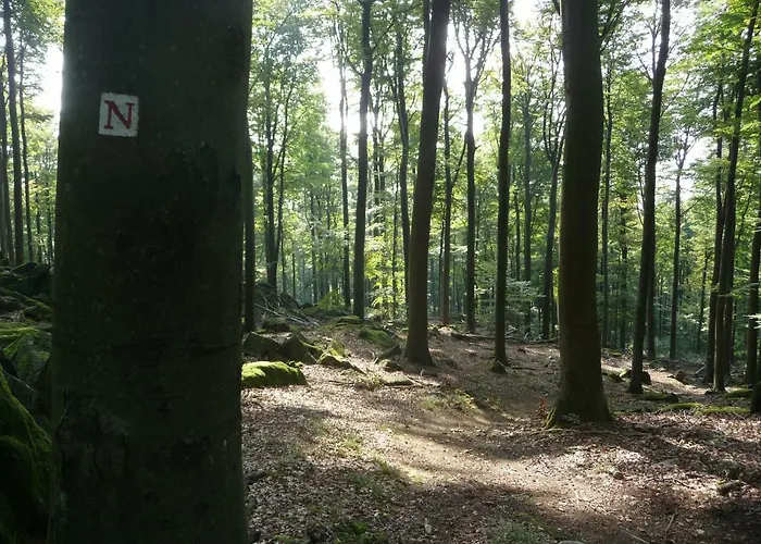 Boellsteiner Hoehe Daire