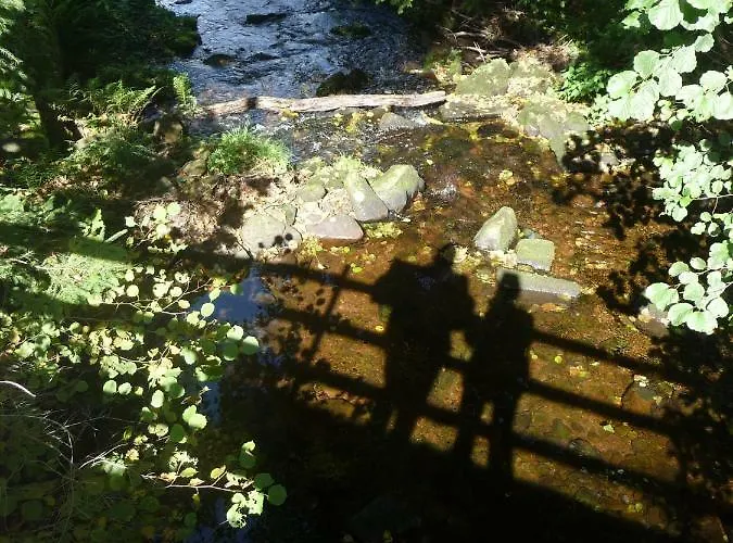 Boellsteiner Hoehe Daire *